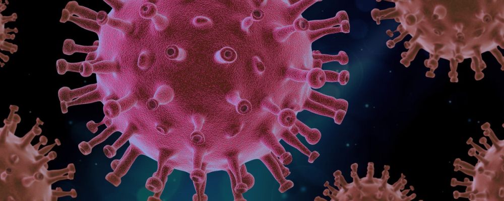 Buch Grippe Globuli - Homöopathie bei Grippe und viralen Infekten